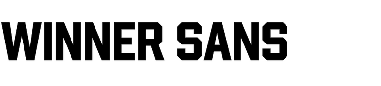 Winner Sans