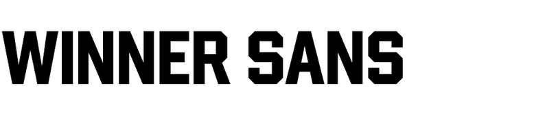 Winner Sans