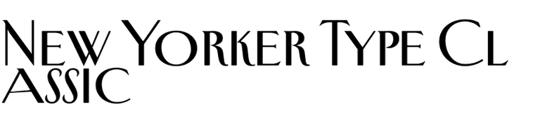 New Yorker Type Classic