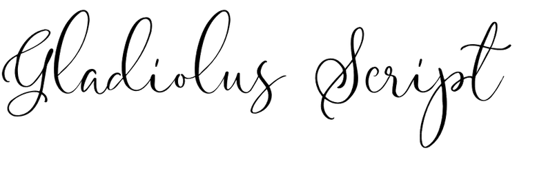 Gladiolus Script