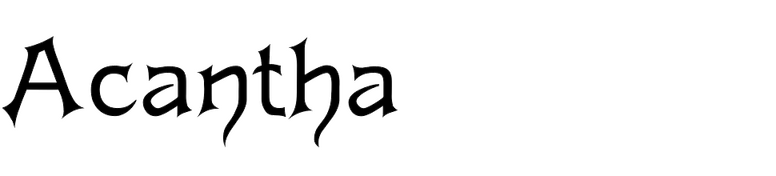 Acantha Acantha