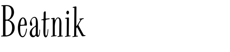 Beatnik (Type Innovations)