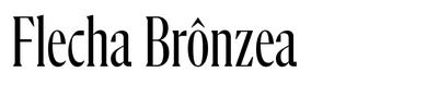 Flecha Brônzea