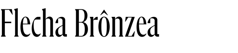 Flecha Br?nzea