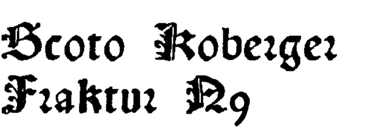 Scoto Koberger Fraktur N9