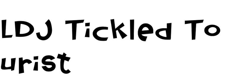 LDJ Tickled Tourist