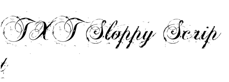 TXT Sloppy Script
