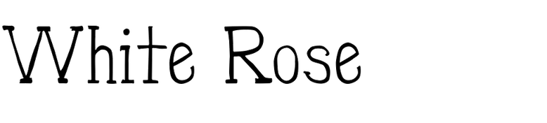 White Rose in use - Fonts In Use