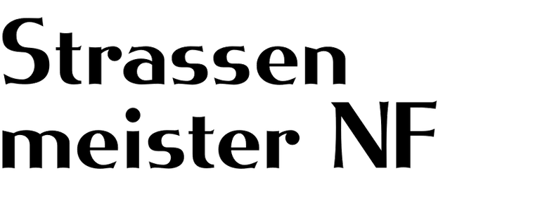 Strassenmeister NF