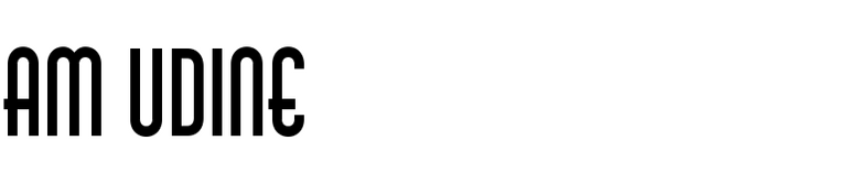 AM Udine