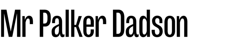 Mr Palker Dadson