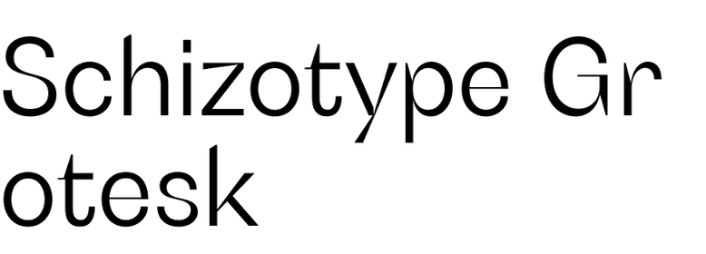 Schizotype Grotesk