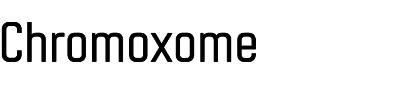 Chromoxome