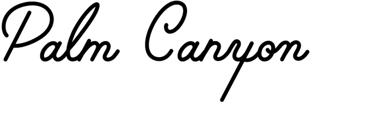 Palm Canyon Drive – Monoline Script Font - Hoodzpah