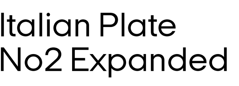 Italian Plate No2 Expanded