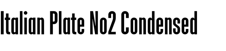 Italian Plate No2 Condensed