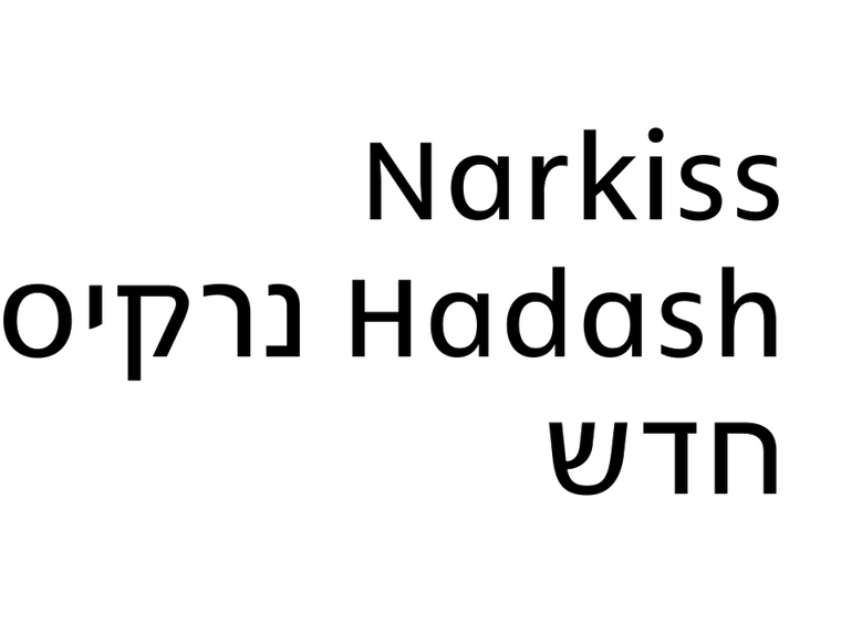 Narkiss Hadash