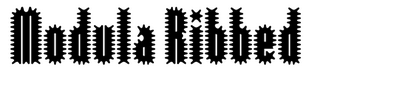 Modula Ribbed