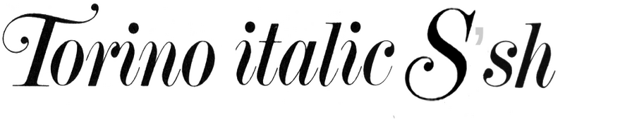 Torino Italic Swash
