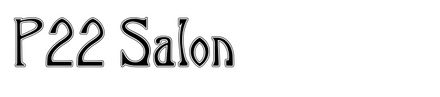 P22 Salon