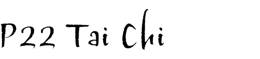 P22 Tai Chi P22 Tai Chi