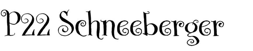 P22 Schneeberger