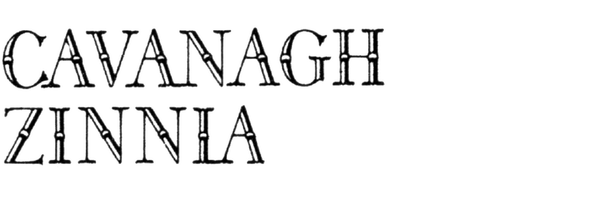 Cavanagh Zinnia