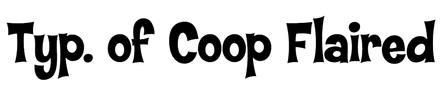 Typography of Coop Flaired