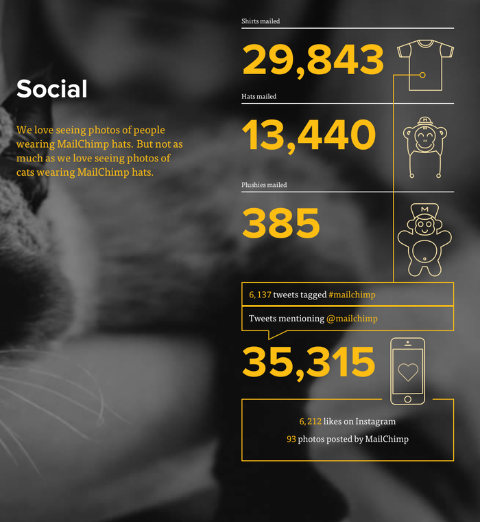 MailChimp Annual Report 5