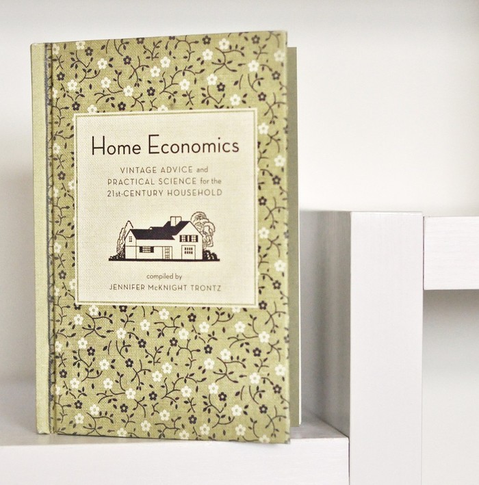 Home Economics by Jennifer McKnight Trontz 4