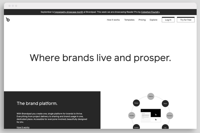 Brandpad’s website typeset in Reader (week three)