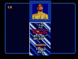 Pit-Fighter 9