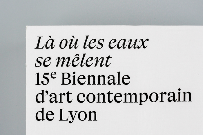 Lyon Contemporary Art Biennale catalog 5