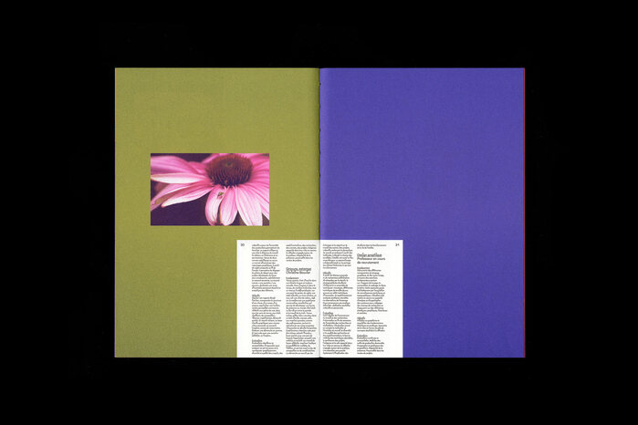 Guide de l’étudiant, l’Ésac Cambrai 3