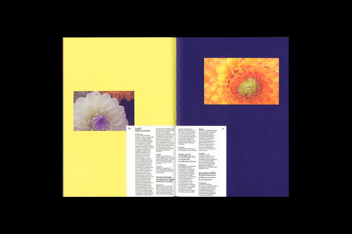 Guide de l’étudiant, l’Ésac Cambrai 4