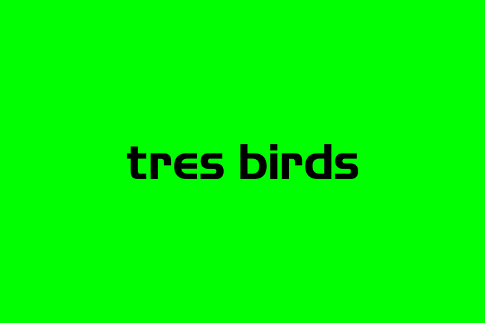 Tres Birds 3