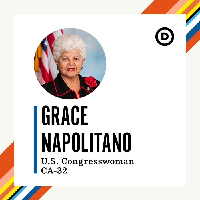 Democratic National Committee website 2