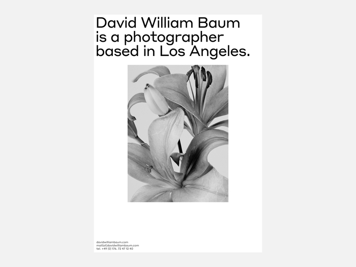 David William Baum 7