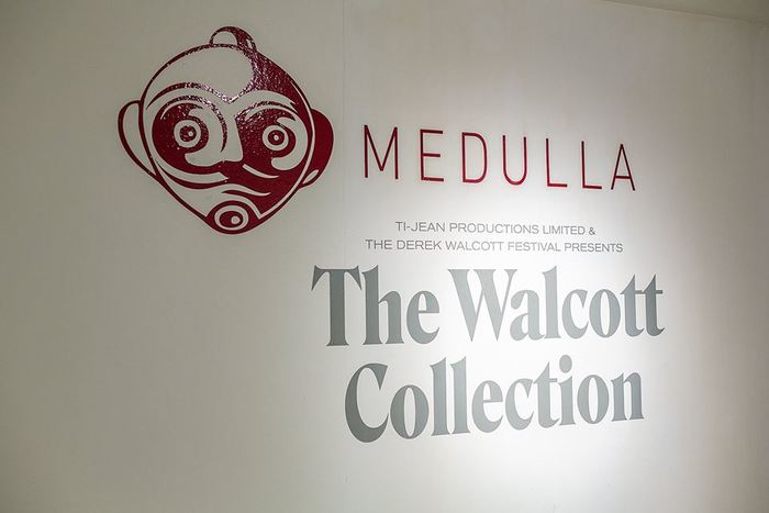 The Walcott Collection at Medulla Art Gallery 6