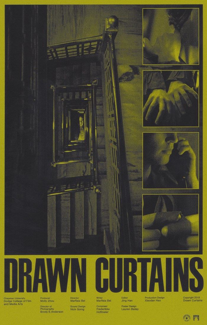 Drawn Curtains (2018) movie poster