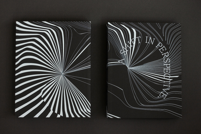 A Shift in Perspective: An Investigation into Creativity from Constraint 2