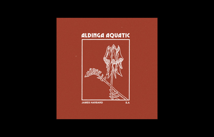 Alternate cover