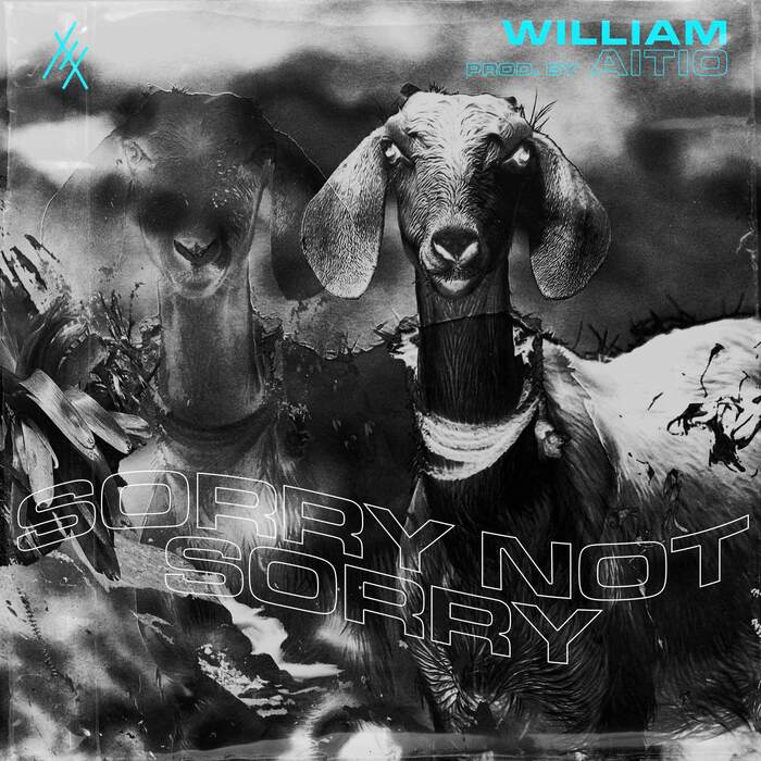 William – “Raketoin” single and Sorrynotsorry album 4