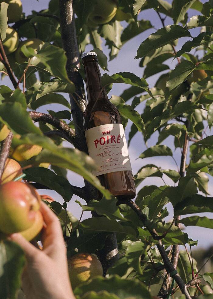 “Entre Pierre &amp; Terre” orchard ciders 2