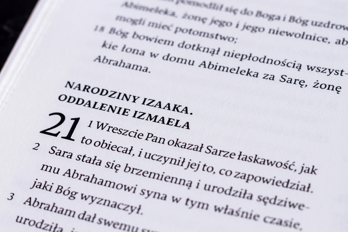 Series of Bible translations 6