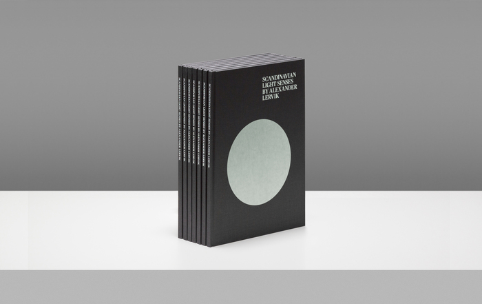 Scandinavian Light Senses by Alexander Lervik 1