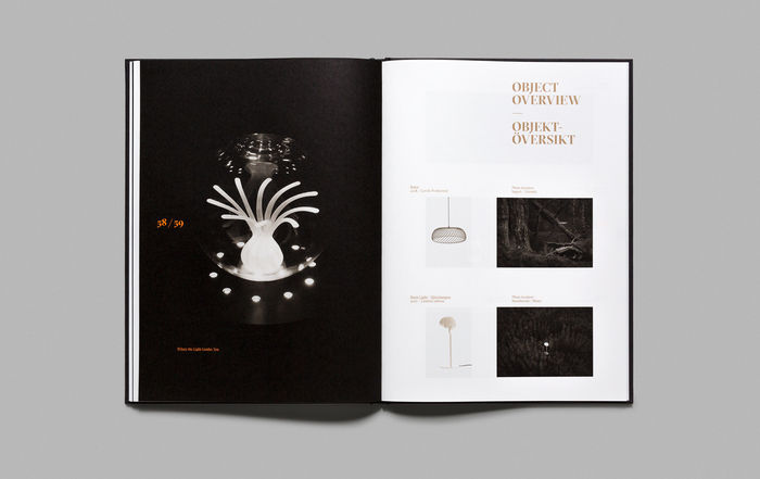 Scandinavian Light Senses by Alexander Lervik 14