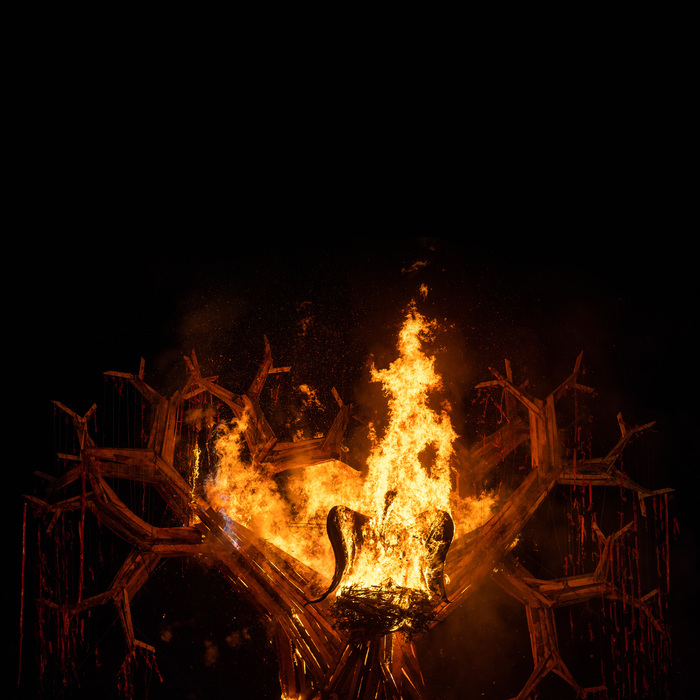 Dark Mofo 21