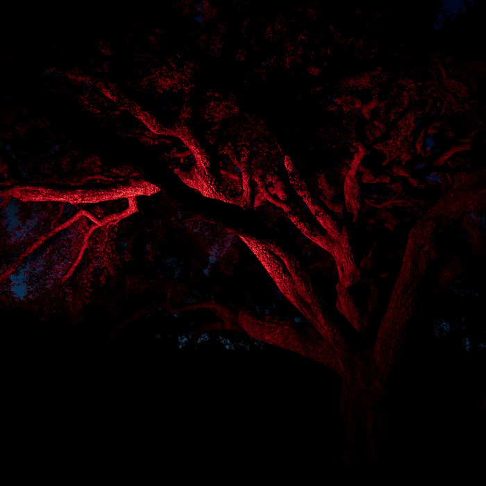 Dark Mofo 22