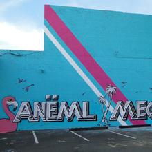 “Anëml Meck Sory” graffito